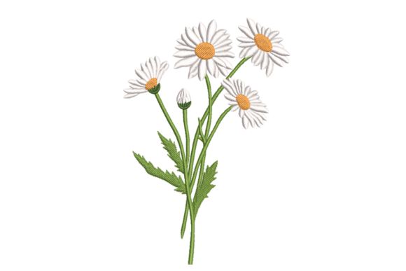 Wild Daisy Stems – Simple Floral Embroidery Review